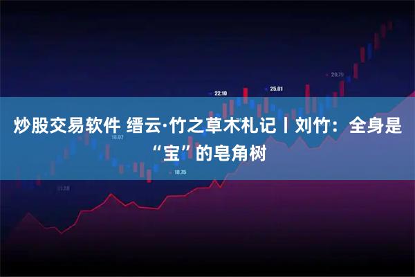 炒股交易软件 缙云·竹之草木札记丨刘竹：全身是“宝”的皂角树