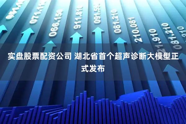 实盘股票配资公司 湖北省首个超声诊断大模型正式发布