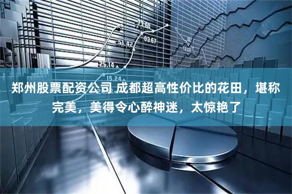 郑州股票配资公司 成都超高性价比的花田，堪称完美，美得令心醉神迷，太惊艳了